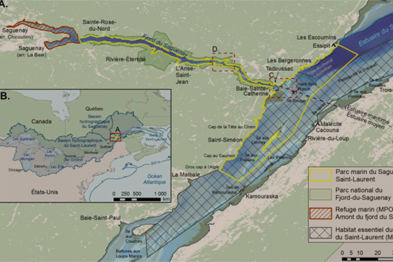 Niveau rayonné par la flottille d’écotourisme dans le parc naturel marin du Saguenay Saint Laurent